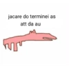 Au team memes 24