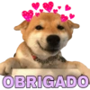 MEMES INCRÍVEIS 12