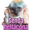 Bebecita lean  6