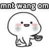 mnt wang om