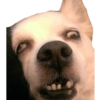 Pa’ hacer drama a tu novix  7