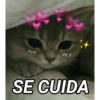Animais fofos 333💗 7