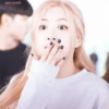 Rose Soft 5