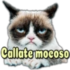 Gatos amenazando 😼🥊 10