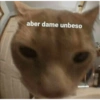 aber dame unbeso