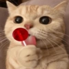 347