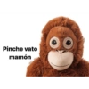 Jaja q grasios 😂👍 8