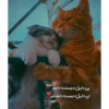 Couple love 21