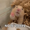 Animalitos🐾🥰 18