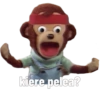 kiere pelea?