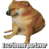 Memes Variados 🤣🥳 8