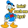 hein? sach me kya?