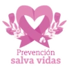 Anne Sullivan Lomas Verdes 20