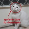 Pensamientos 3😅🤣 15