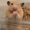 Animalitos🐾🥰 14