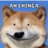 Memes de Firulais🐶💘 12