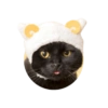 Cats Chapter 1 5