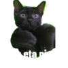 Guji Gosong Kitty 27