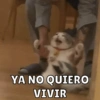 Michis pt.2 21
