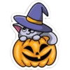 Hallowen 7