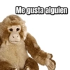 Jaja q grasios 😂👍 7