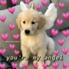 Doggo hearts 7