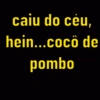 Xingamentos 🤬😤 14
