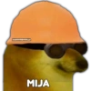 Perrito Chulo 12