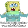 Bob Esponja Random 2 5