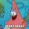 Patrick 5