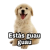 Perritos con FRASES 🐕🐾 1 14