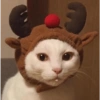 Navidad 🎄☃️❤️✨ 5