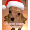 Memes Navideños🎄🎅 13