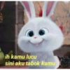 Indonesia 16