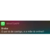 WHATSAPP Braba O pai tá de castigo, e a mãe tá online!!