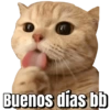 Memes que necesitas 2😂🥳 7