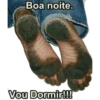 BOM DIA BOA NOITE 2 10