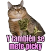Bebecita lean  5