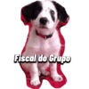Dog 10