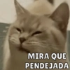 Michis pt.2 16