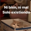 Animalitos con frases 1 ❤️😎 10