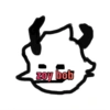 ElseleverxD 29