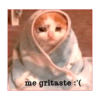 Shitpost Random 1 14