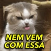 MEMES PRA VOCÊ ✨ 7