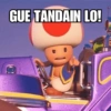 Toad 13