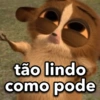 Memes apaixonados v7 8