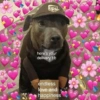 Cães e corações 11