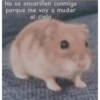 Pensamientos 3😅🤣 10