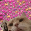 Stickers 🥵🥵🥵🥵 16