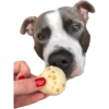 Diablo 7